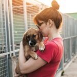 Adopting vs. Buying: Choosing the Right Pet