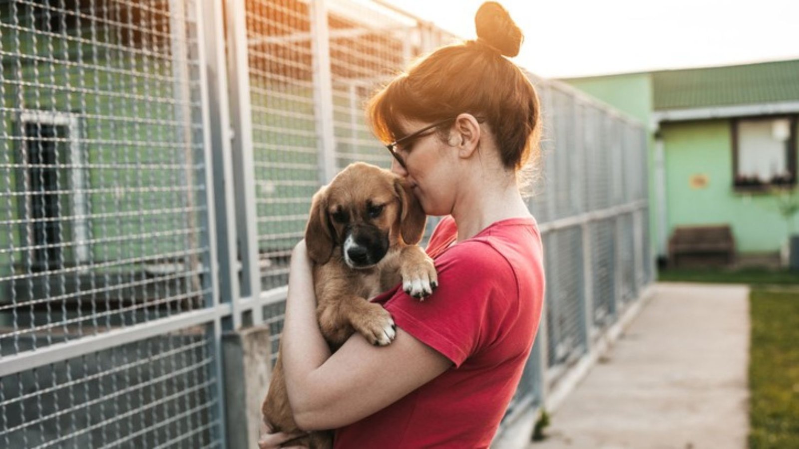 Adopting vs. Buying: Choosing the Right Pet