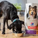 Best Pet Foods for Optimal Nutrition