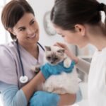 Best Practices for Pet Health and Wellness Best Practices for Pet Health and Wellness