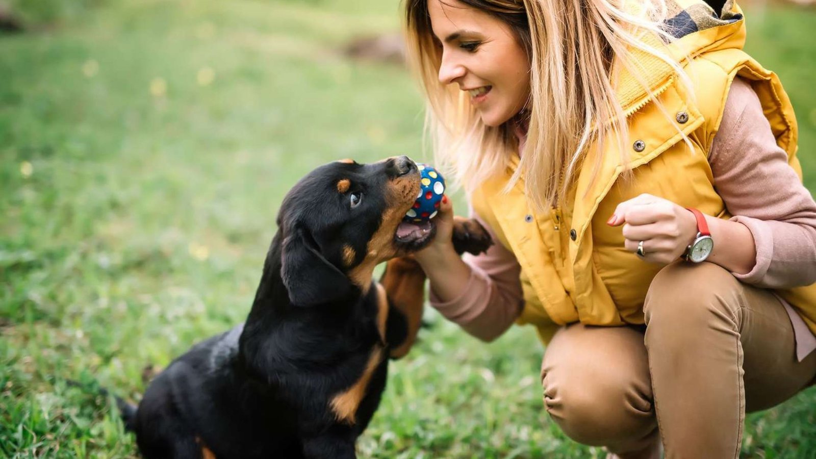 Encouraging Playtime for Your Pets