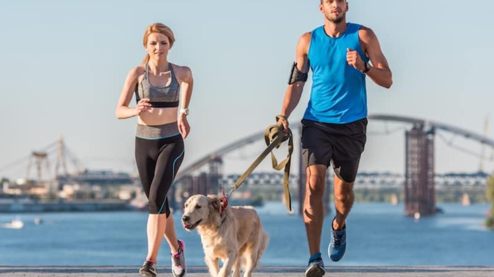 Exercising with Your Pet