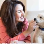 Handling Pet Allergies