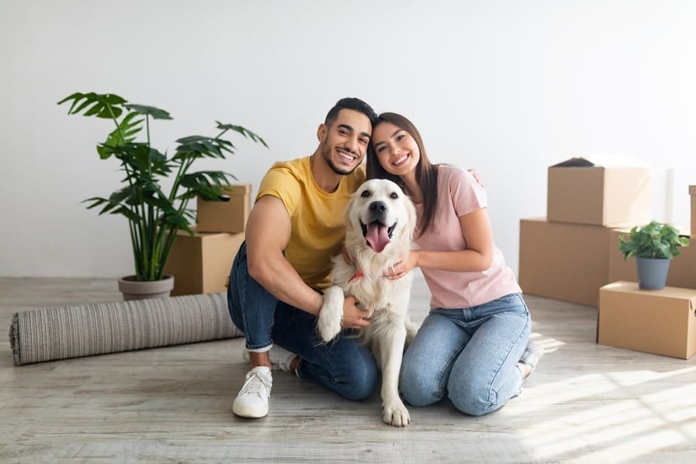 How to Create a Pet-Friendly Home