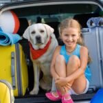 How to Travel with Your Pet Safely