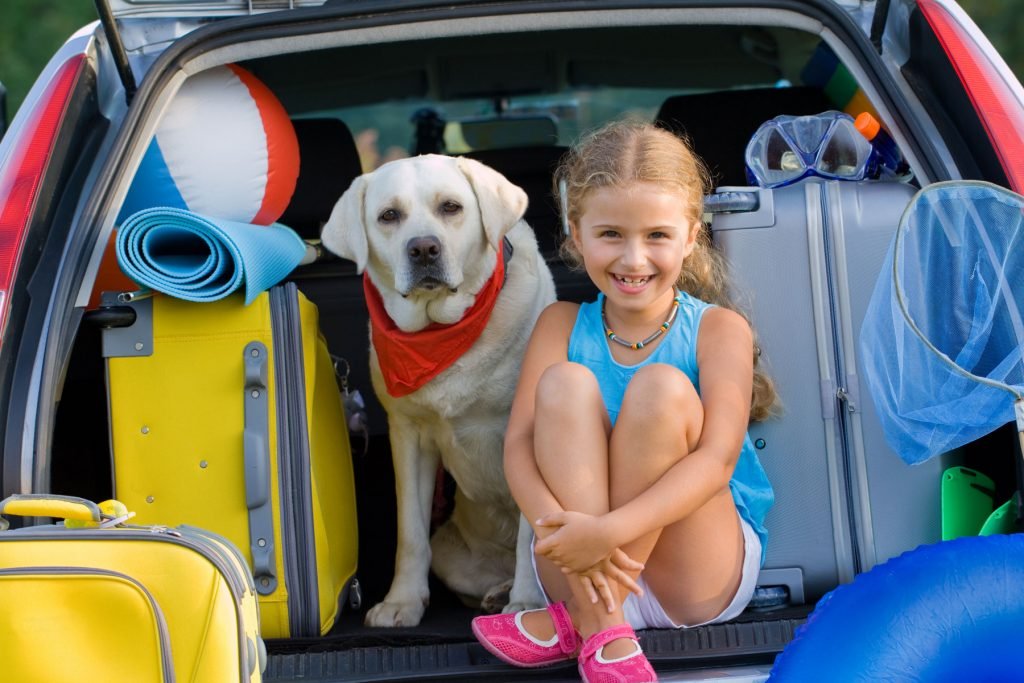 How to Travel with Your Pet Safely