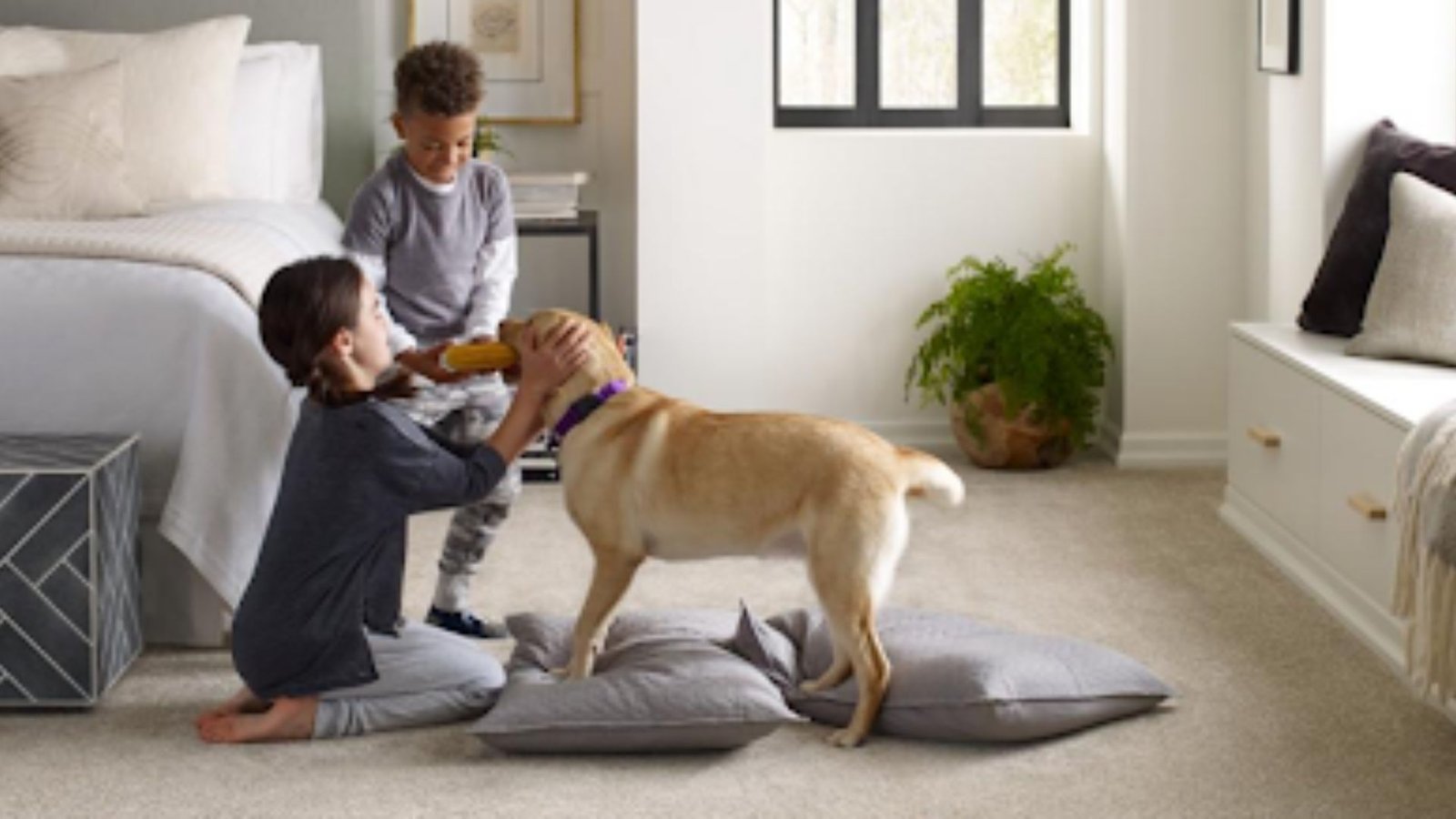 Top Pet-Friendly Home Design Tips