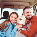 Traveling with Pets: Tips for Stress-Free Trips